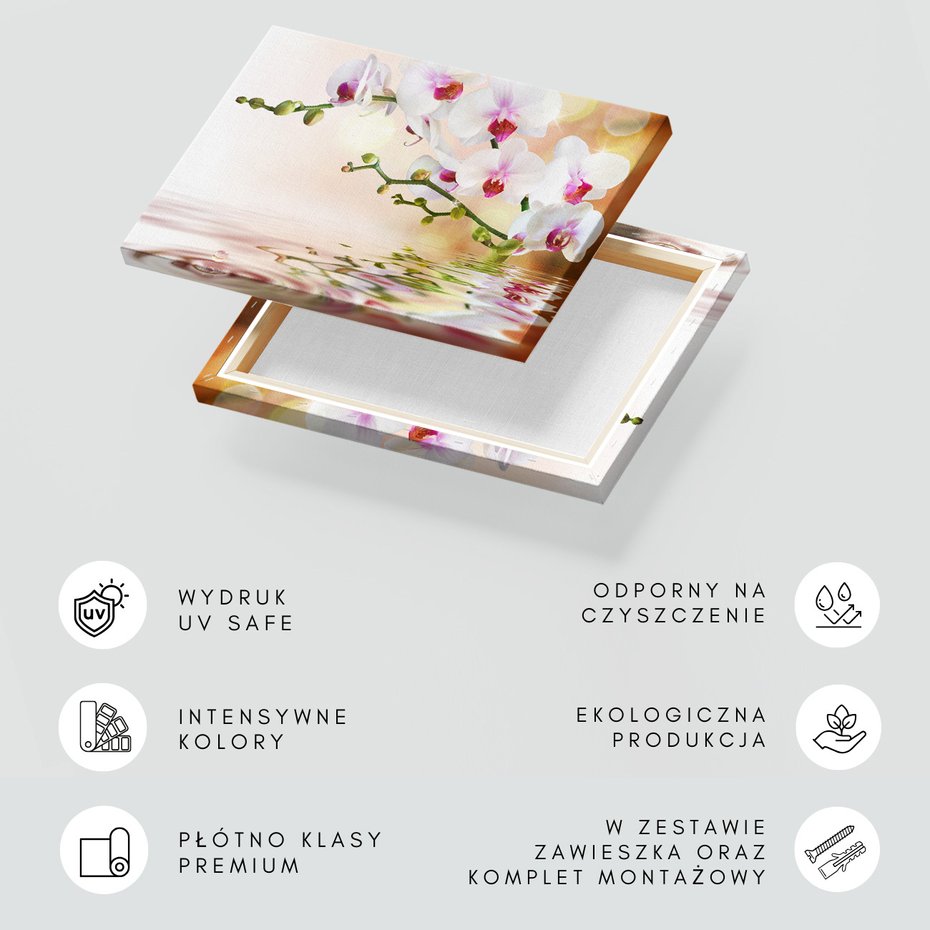 Obraz na płótnie - orchidee, kwiaty, woda