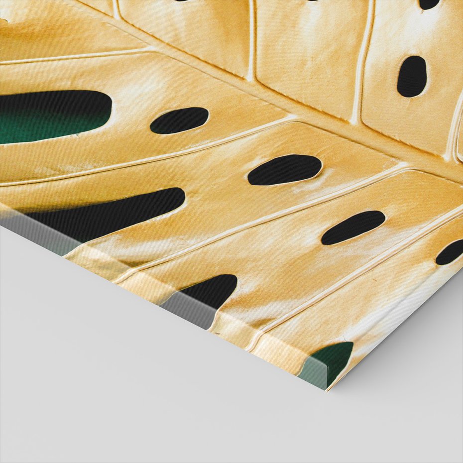 Obraz na płótnie - liść, złoto, monstera