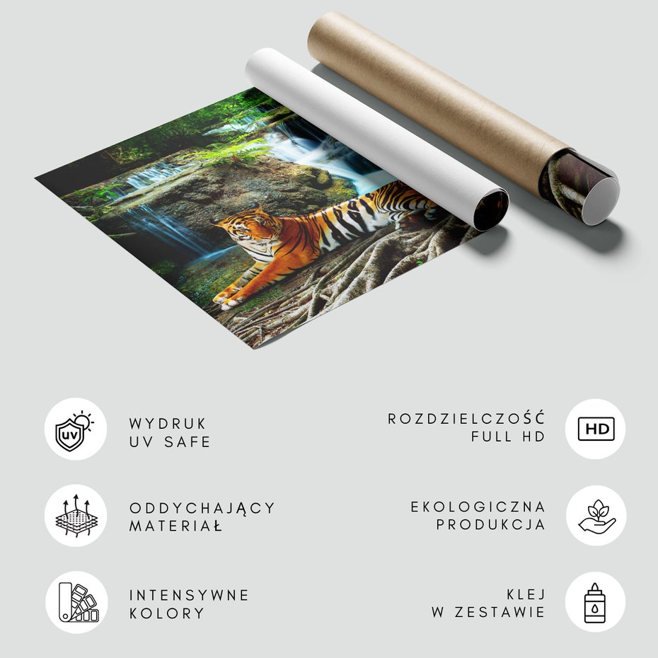 Fototapeta - tygrys, wodospad, natura