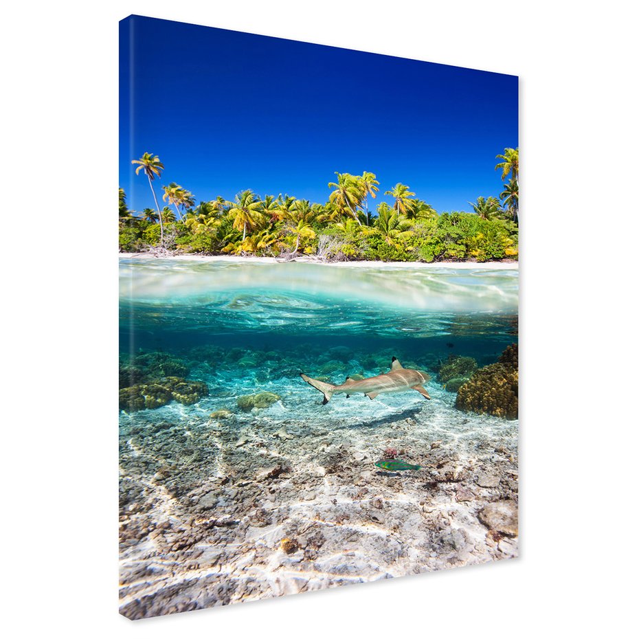 Obraz na płótnie - rekin, morze, tropiki