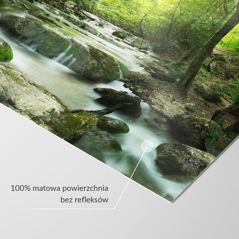 Fototapeta - las, rzeka, wodospad