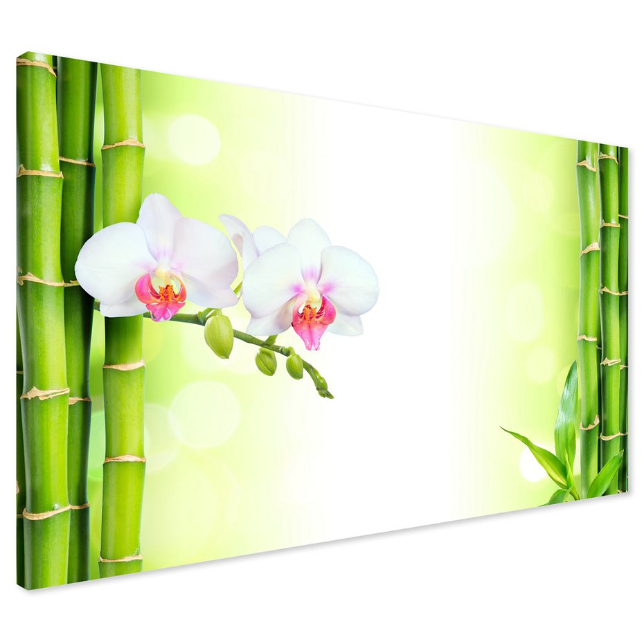 Obraz na płótnie - bambus, orchidee, kwiaty