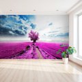 Fototapeta - pole, drzewo, różowy