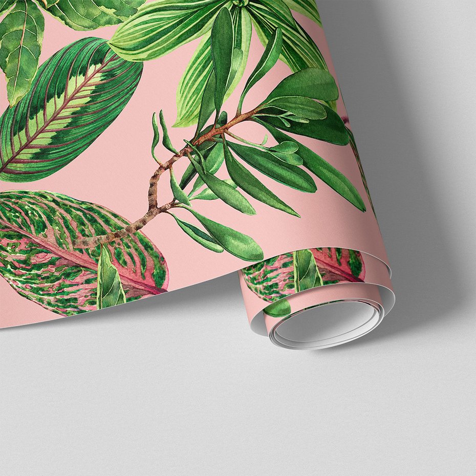 Tapeta - liście, rośliny, natura