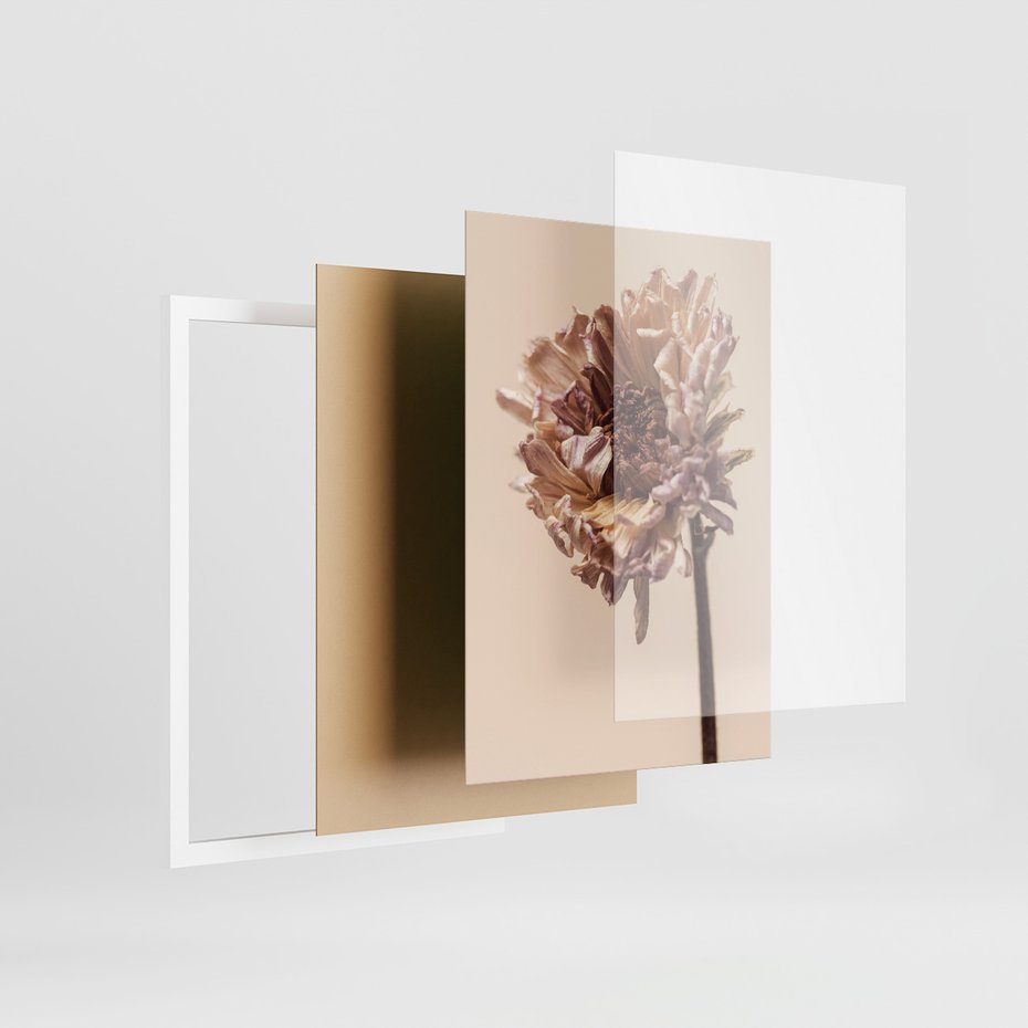 Zestaw obrazy w ramie, plakaty - kwiaty, suche, więdnięcie - rama biała