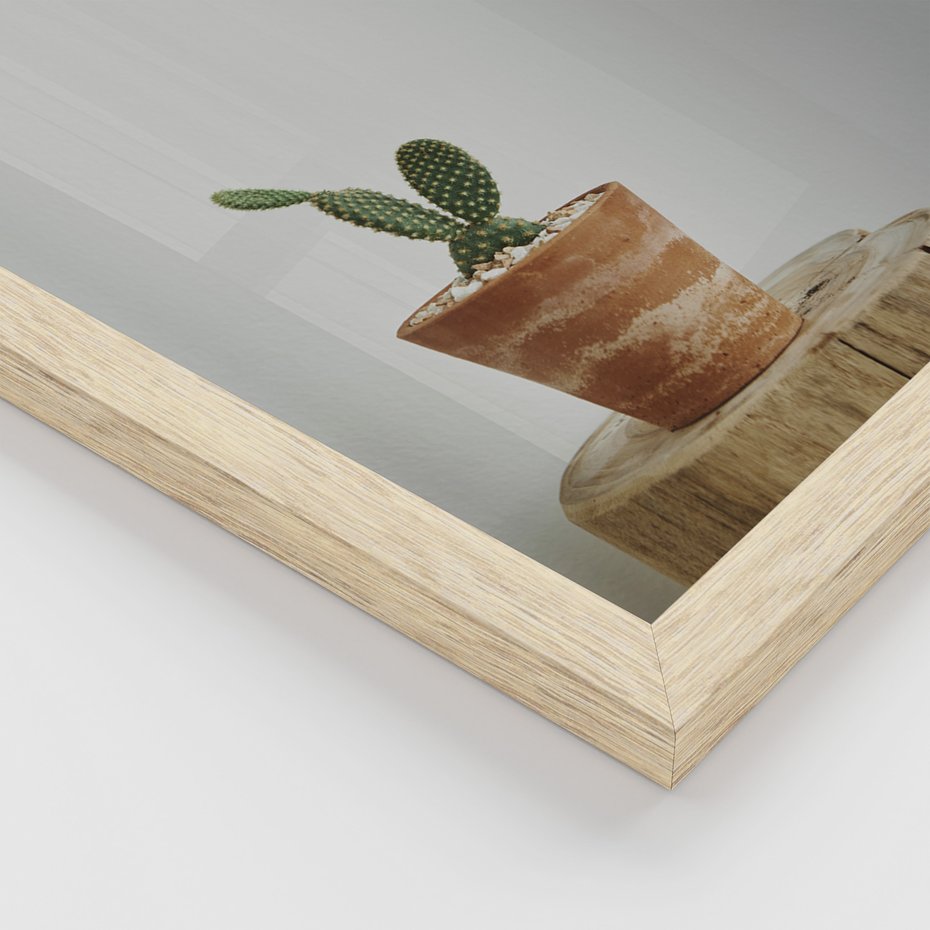 Zestaw obrazy w ramie, plakaty - kaktusy, sukulenty, rośliny - rama drewno