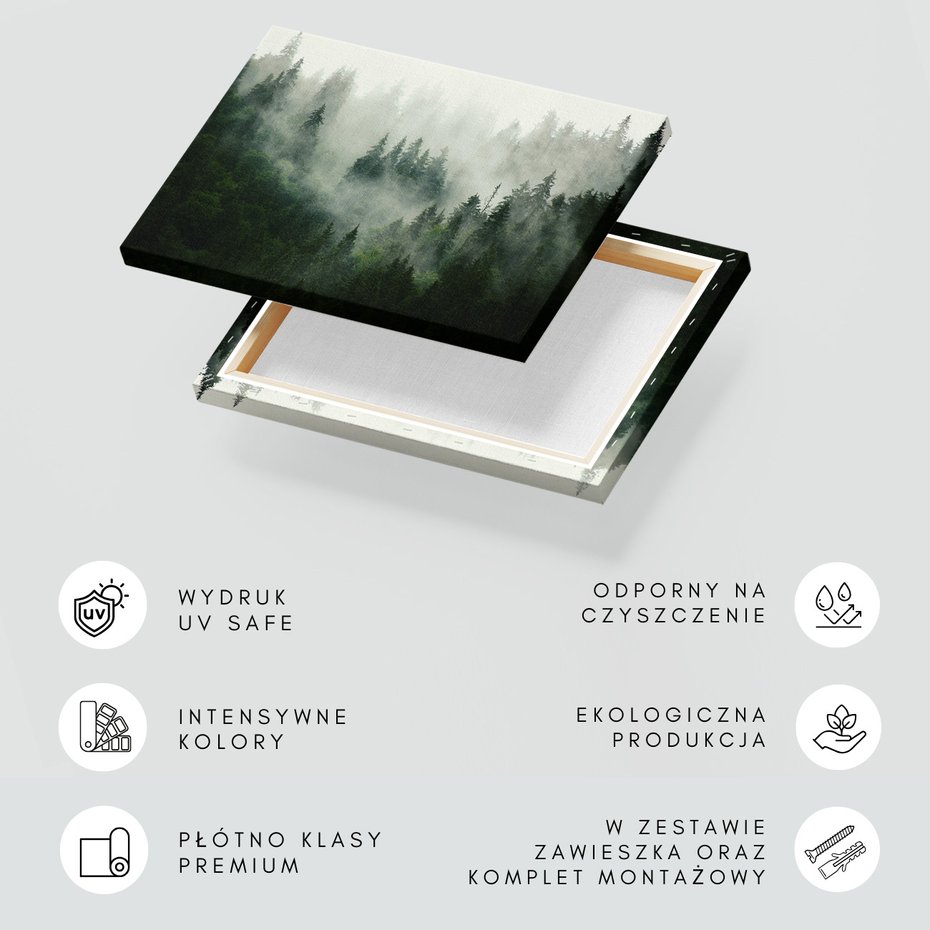 Obraz na płótnie - las, mgła, drzewa