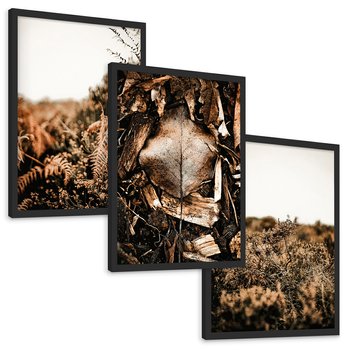 Zestaw obrazy w ramie, plakaty - liście, roślinność, brązowy - rama czarna
