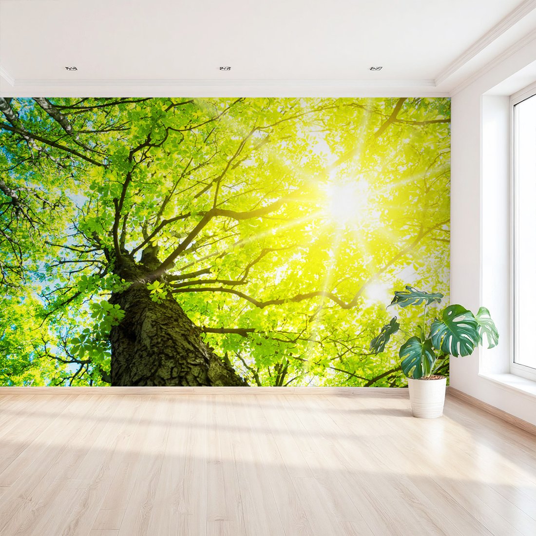 Fototapeta - las, drzewo, liście