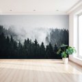 Fototapeta - las, mgła, drzewa