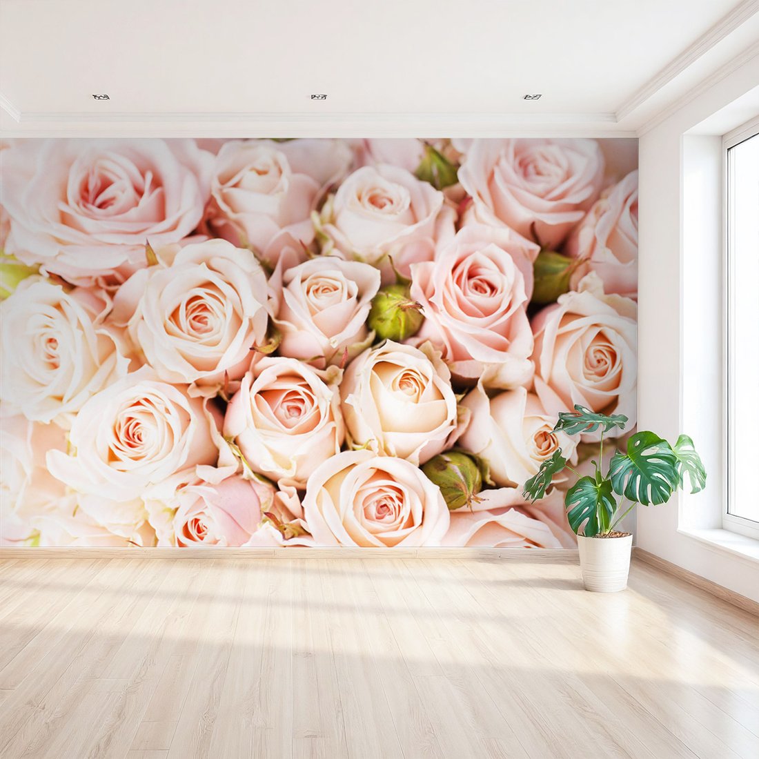 Fototapeta - róże, kwiaty, pastelowe