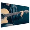 Obraz na płótnie - gitara, muzyka, skóra