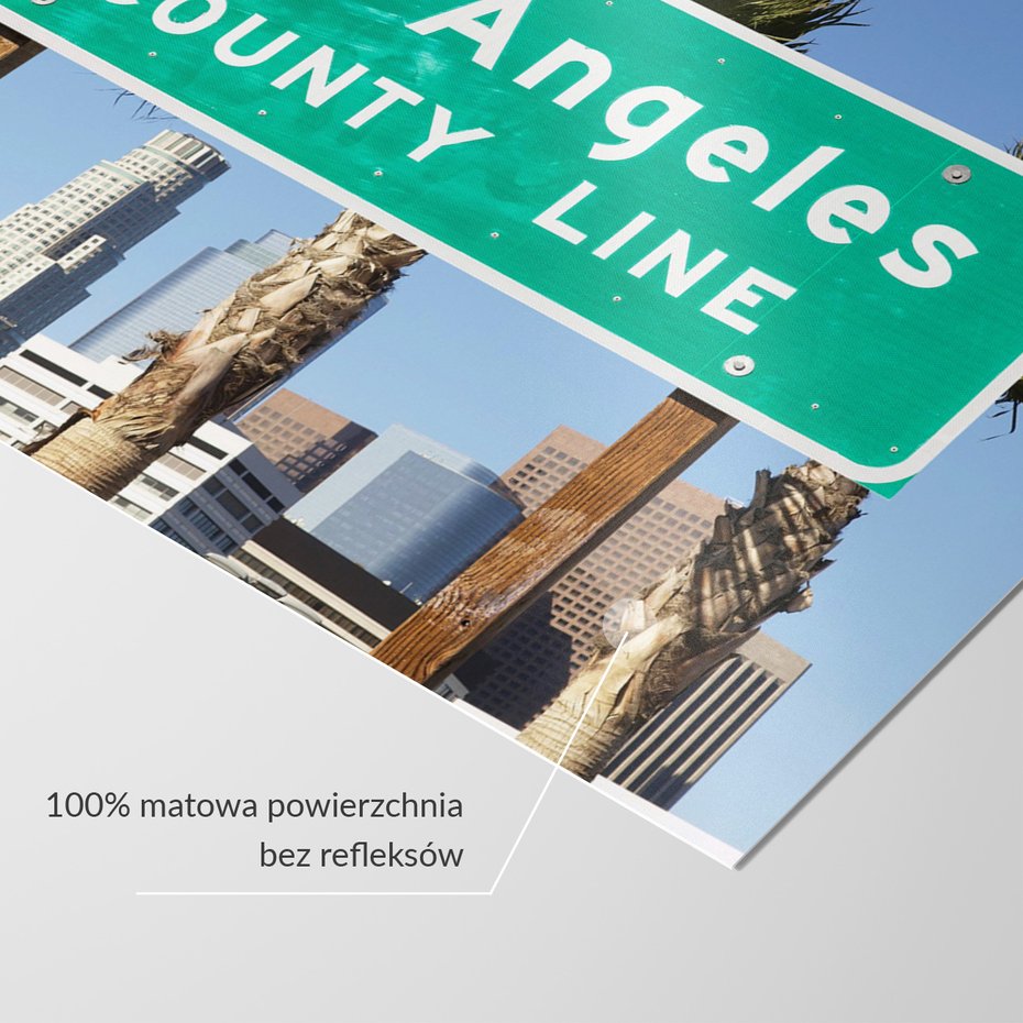 Fototapeta - Los Angeles, tablica, palmy
