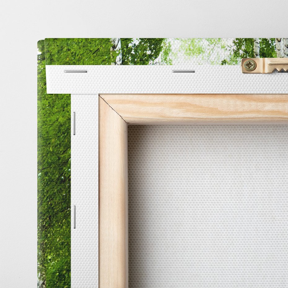 Obraz na płótnie - las, brzozy, ścieżka