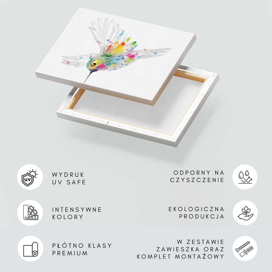 Obraz na płótnie - koliber, ptak, abstrakcja