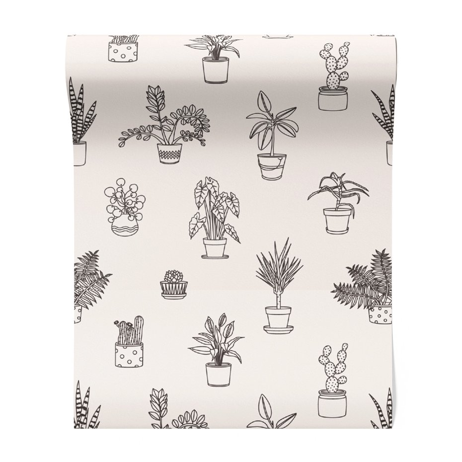 Tapeta - rośliny, doniczki, liście