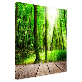 Obraz na płótnie - las, drzewa, przyroda