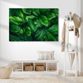 Obraz na płótnie - liście, zieleń, natura