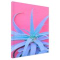 Obraz na płótnie - aloes, roślina, różowy