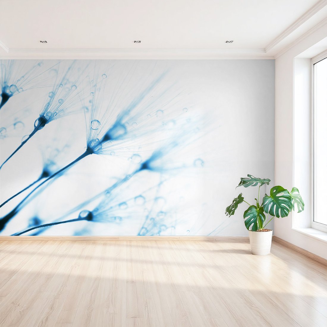 Fototapeta - dmuchawiec, krople, delikatność