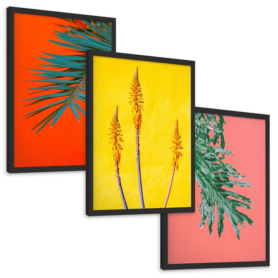 Zestaw obrazy w ramie, plakaty - liście, rośliny, kolory - rama czarna