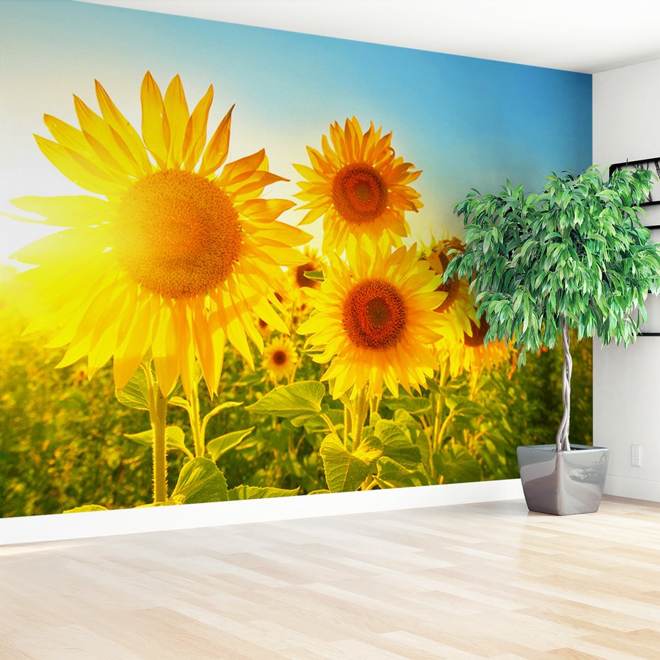 Fototapeta - słoneczniki, lato, słońce