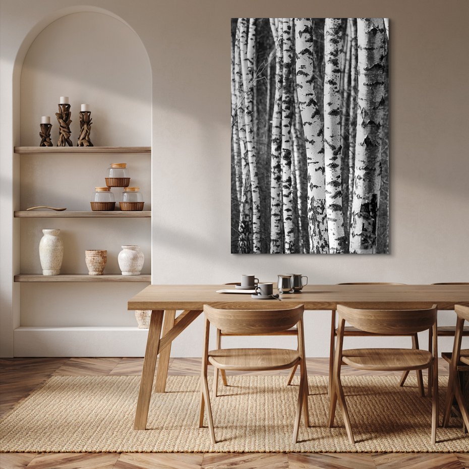 Obraz na płótnie - las, brzozy, drzewa