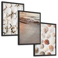 Zestaw obrazy w ramie, plakaty - muszle, plaża, woda - rama czarna