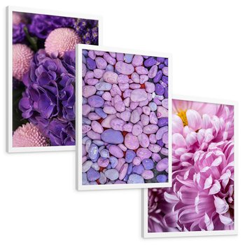 Zestaw obrazy w ramie, plakaty - kwiaty, kamienie, fioletowy - rama biała