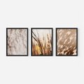 Zestaw obrazy w ramie, plakaty - cienie, trawa, abstrakcja - rama czarna