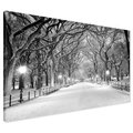 Obraz na płótnie - zima, śnieg, park