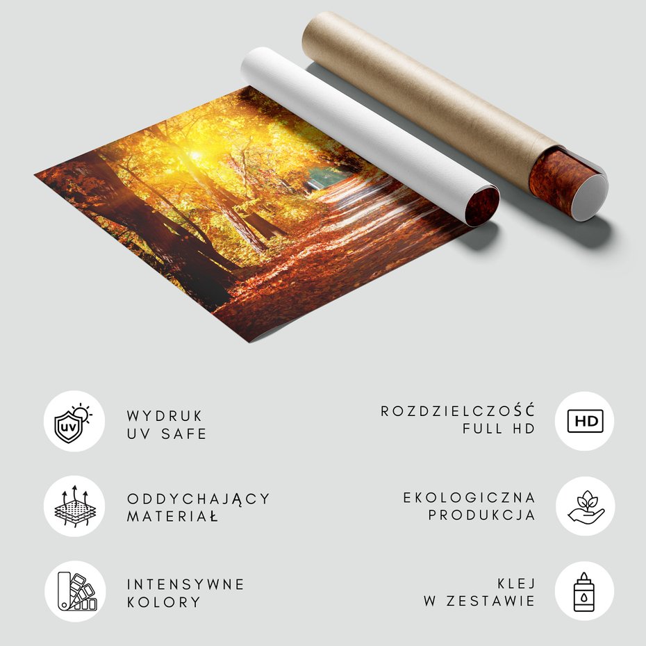 Fototapeta - jesień, liście, droga