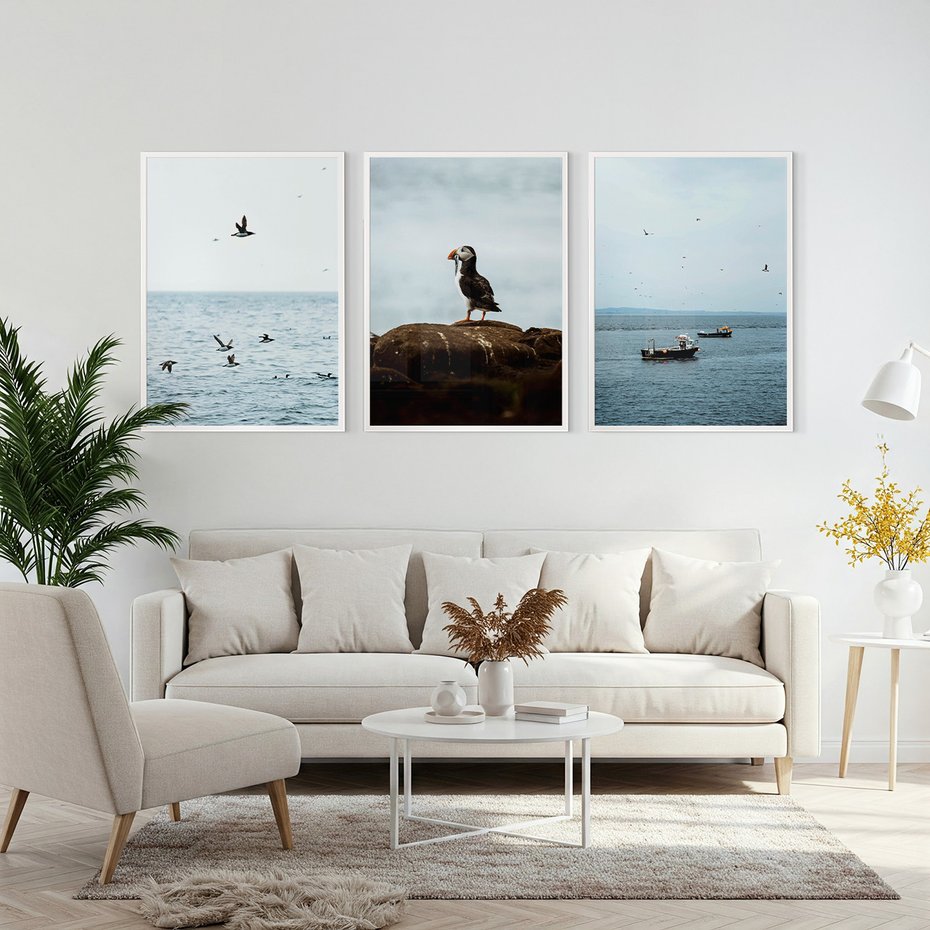 Zestaw obrazy w ramie, plakaty - ptaki, morze, łodzie - rama biała