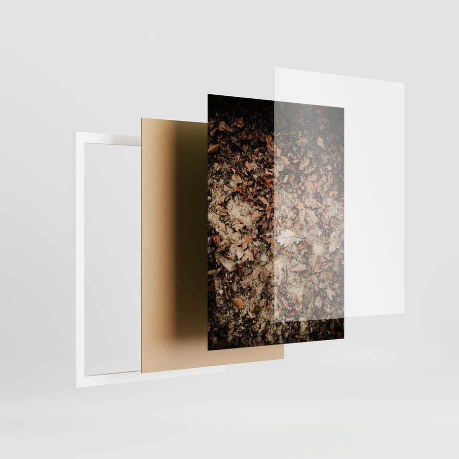 Zestaw obrazy w ramie, plakaty - liście,jeleń,las - rama biała