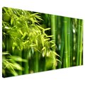 Obraz na płótnie - bambus, liście, zieleń