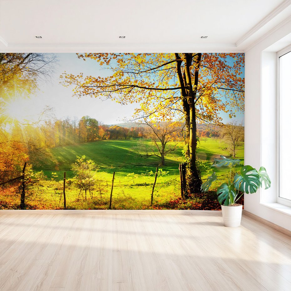 Fototapeta - jesień, krajobraz, drzewa