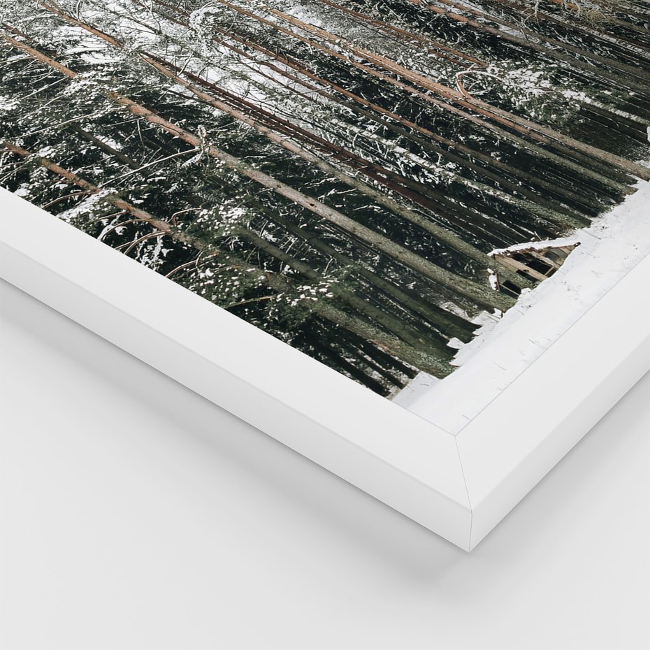 Zestaw obrazy w ramie, plakaty - zima, las, napój - rama biała