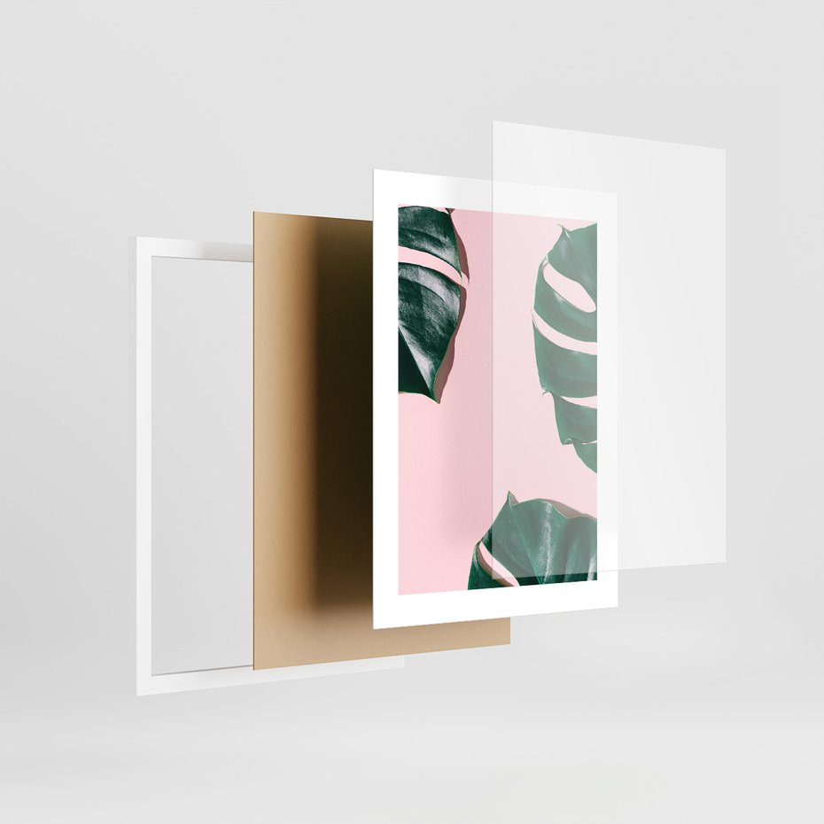 Zestaw obrazy w ramie, plakaty - monstera, liście, roślina - rama biała