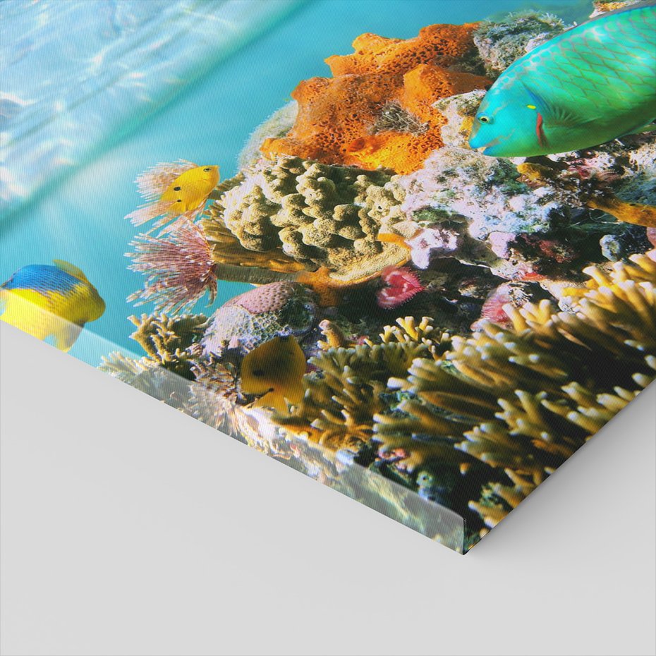 Obraz na płótnie - ryby, rafa, morze
