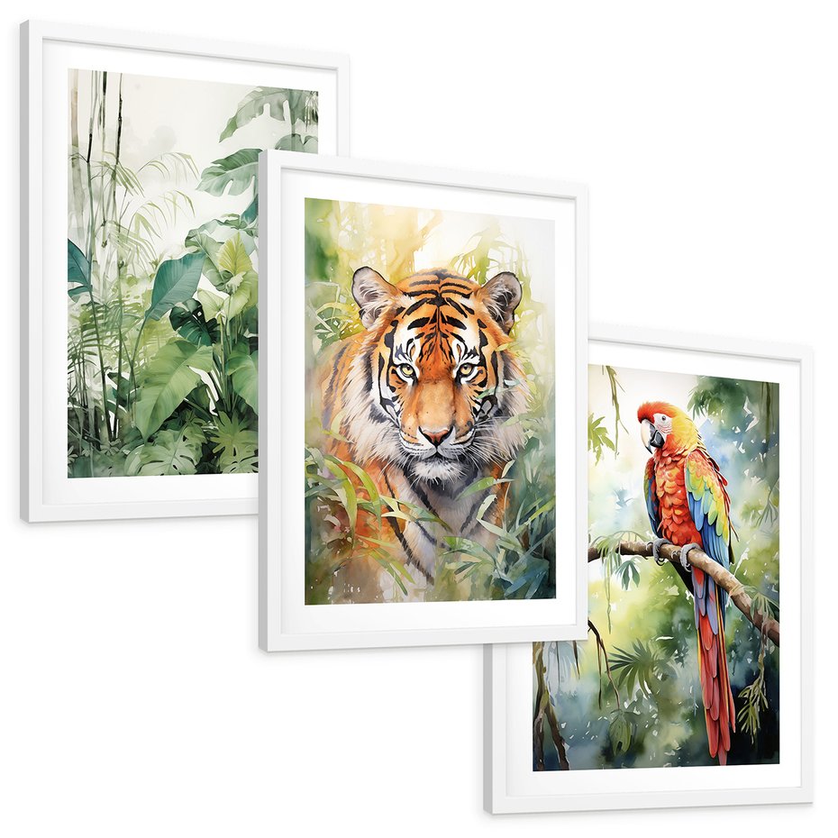 Zestaw obrazy w ramie, plakaty - papuga, liście, tygrys - rama biała