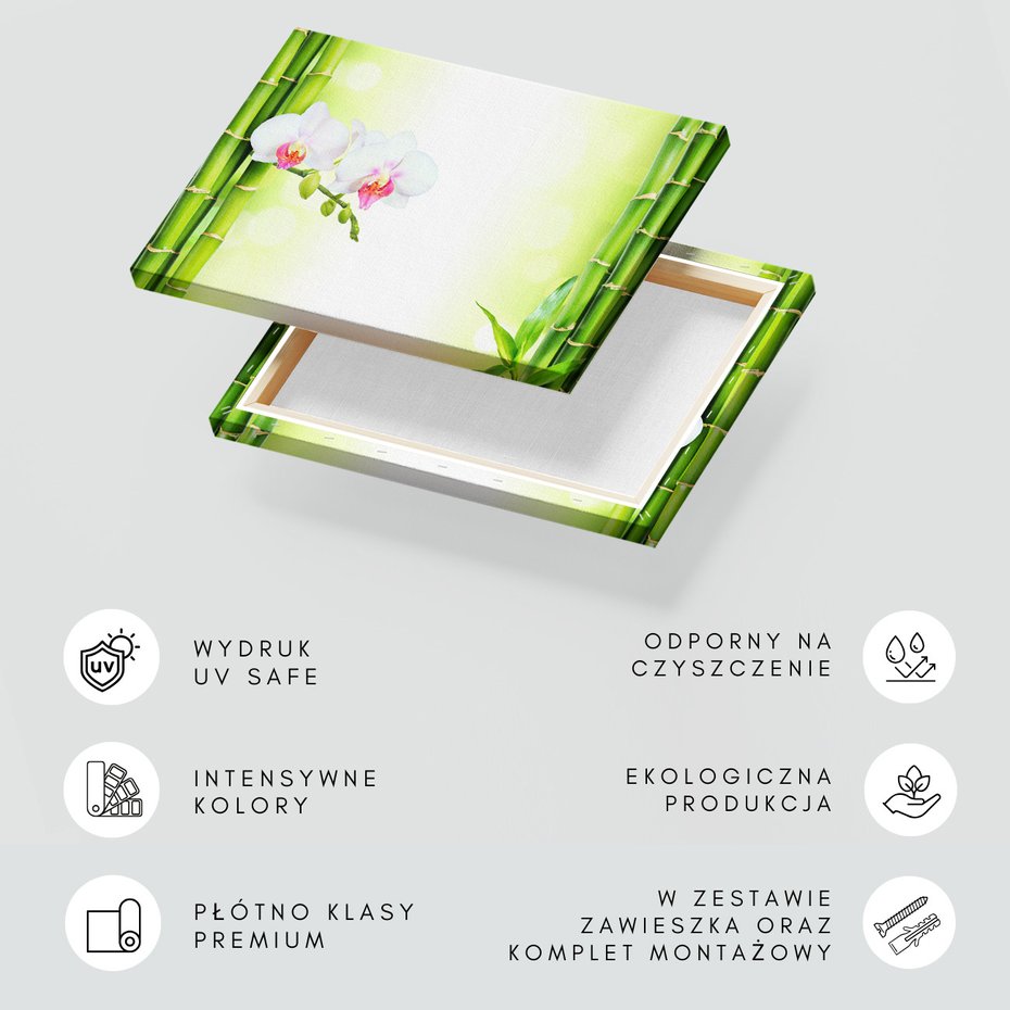 Obraz na płótnie - bambus, orchidee, kwiaty