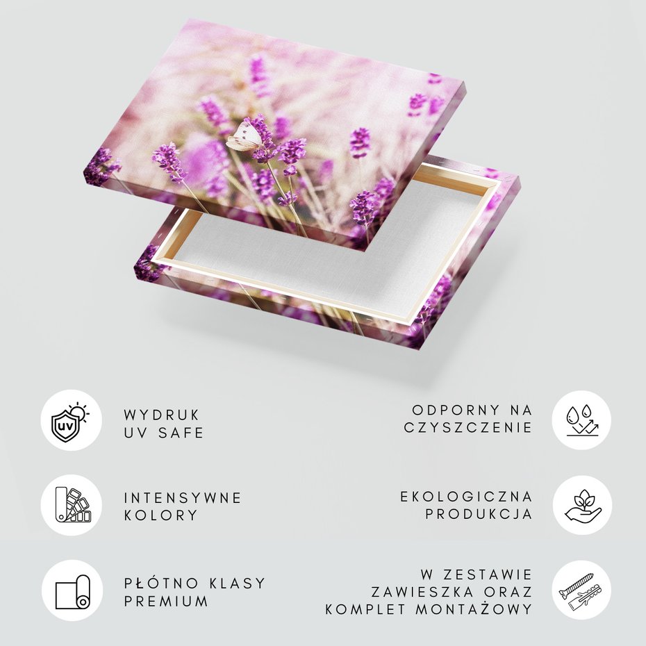 Obraz na płótnie - lawenda, motyl, kwiaty