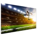 Obraz na płótnie - piłka nożna, sport, stadion