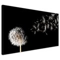 Obraz na płótnie - Dmuchawiec, Nasiona, Delikatność