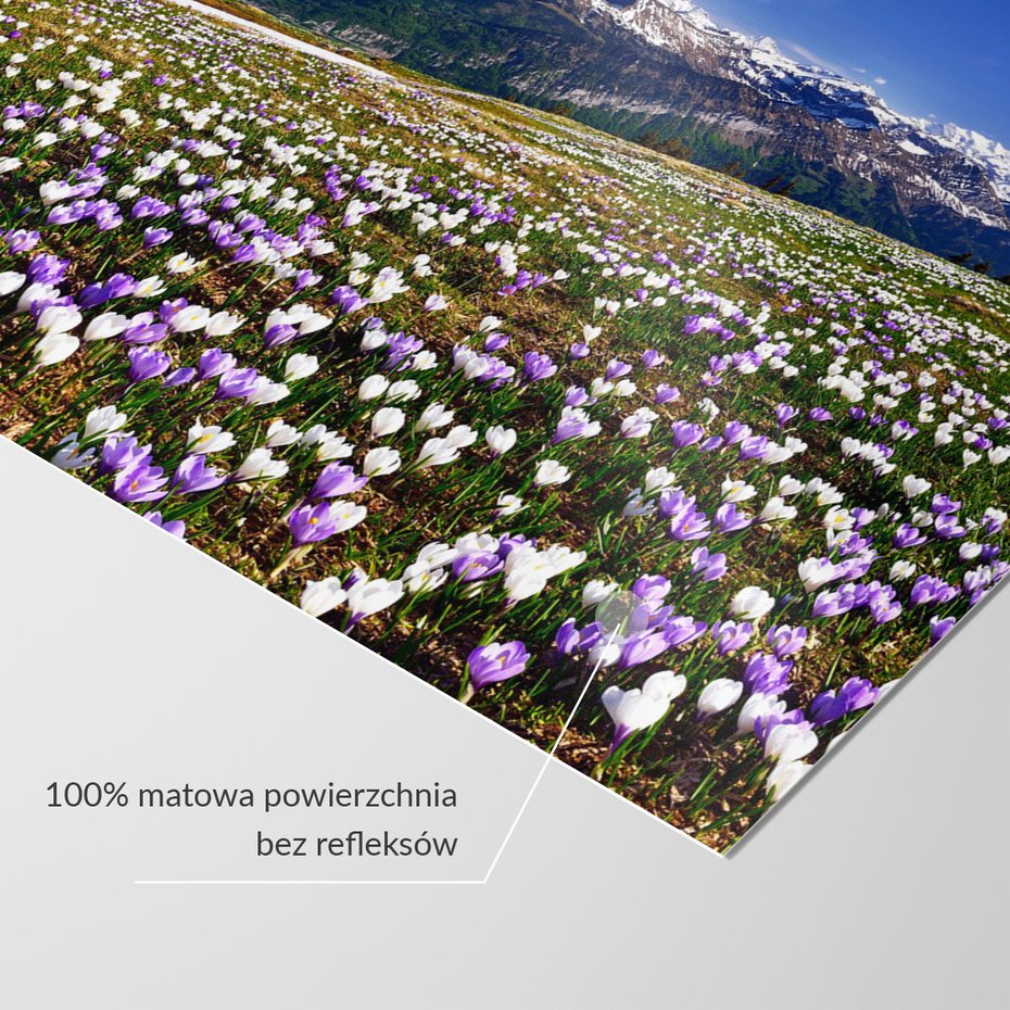 Fototapeta - góry, kwiaty, krajobraz