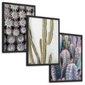 Zestaw obrazy w ramie, plakaty - kaktusy, rośliny, kolce - rama czarna