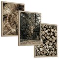 Zestaw obrazy w ramie, plakaty - drewno, kora, natura - rama drewno