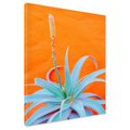 Obraz na płótnie - aloe, roślina, pomarańczowy