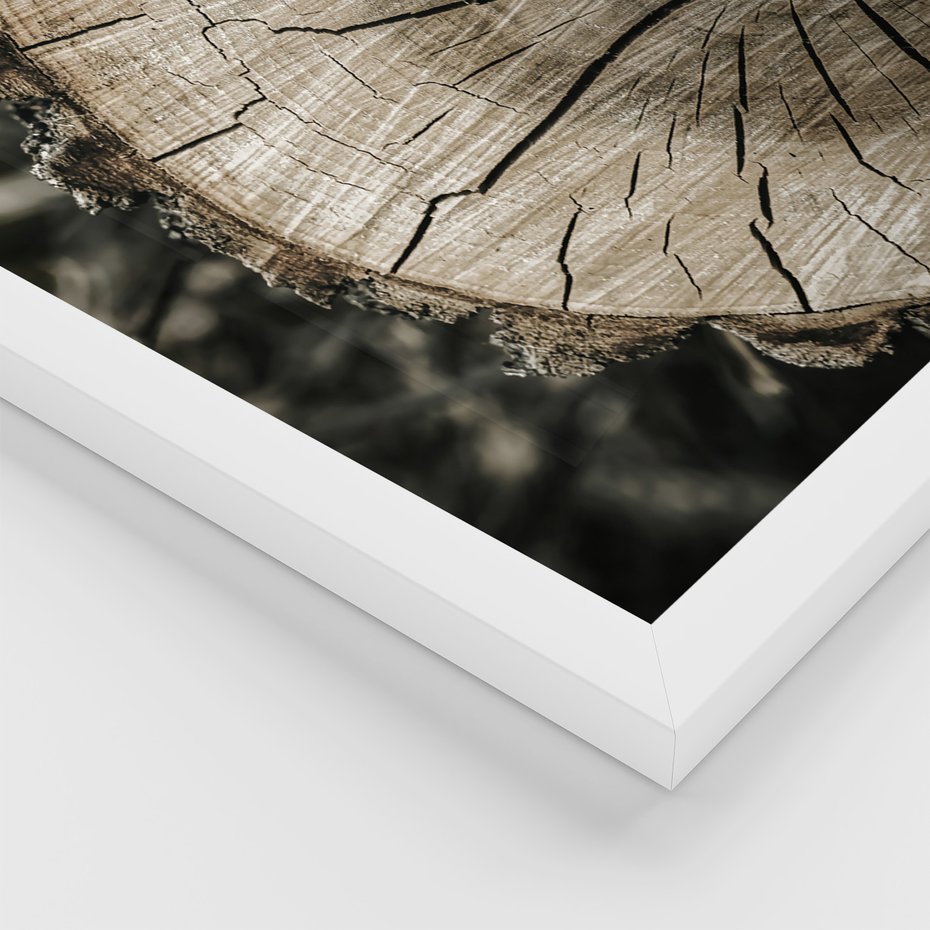 Zestaw obrazy w ramie, plakaty - drewno, tekstura, budynek - rama biała