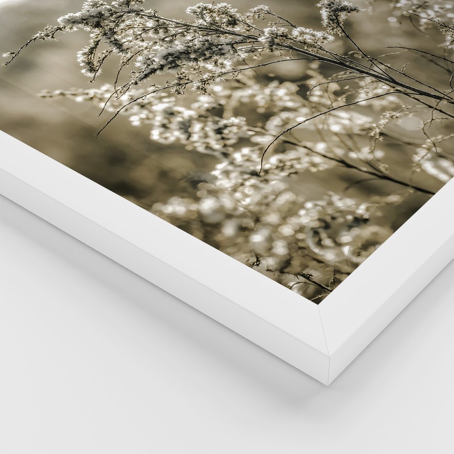 Zestaw obrazy w ramie, plakaty - krajobraz, natura, góry - rama biała